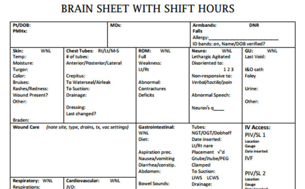 Nurse Brain Sheets - Shift Hours