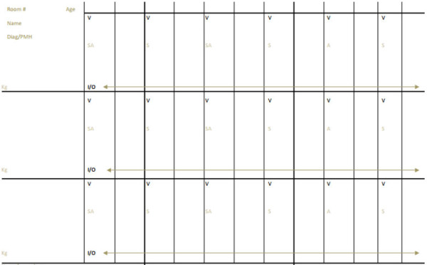 Nurse Brain Sheets - Three Patient