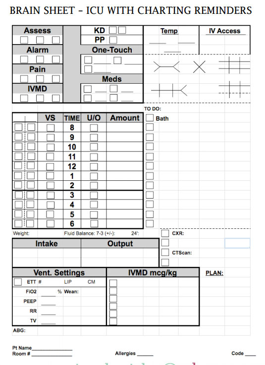 Nurse Brain Sheets - ICU with charting reminders