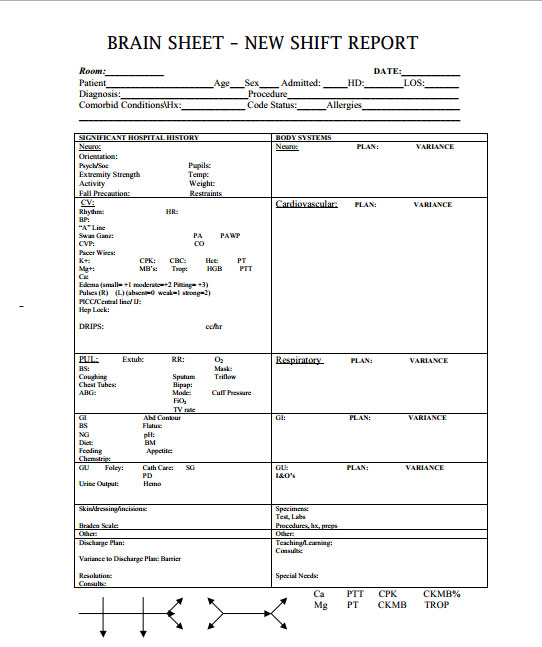 Nurse Brain Sheet - New Shift Report